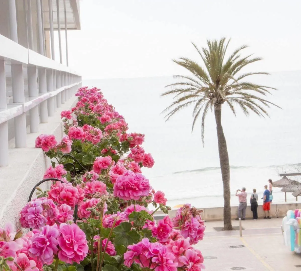 Hotel Voramar Cala Millor   Cala Millor (Mallorca)